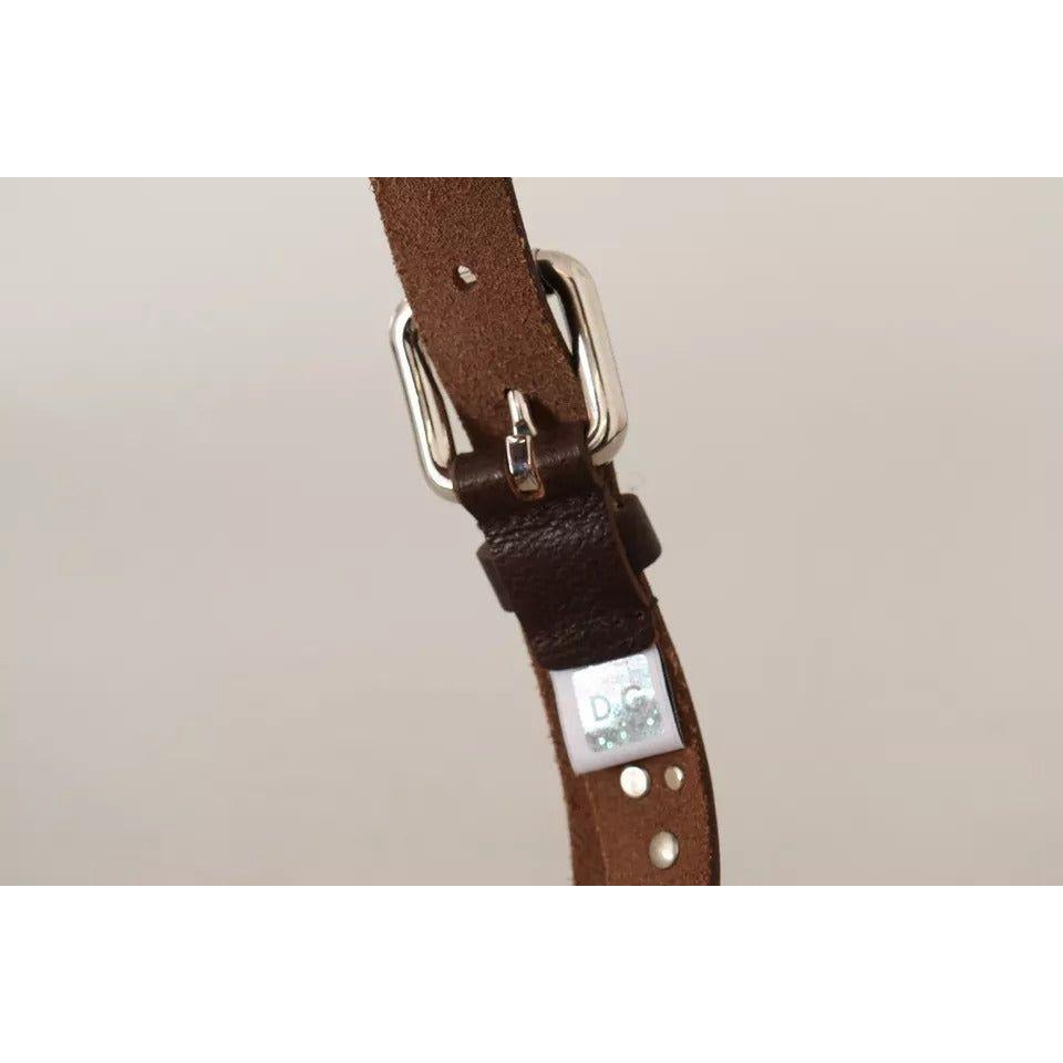 Dolce & Gabbana Brown Leather Studded Silver Metal Buckle Belt Dolce & Gabbana Gray