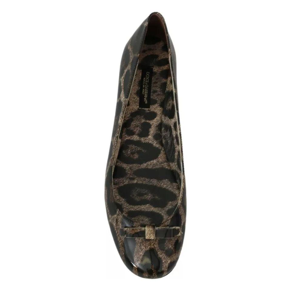 Dolce & Gabbana Brown Leopard Ballerina Flats Leather Shoes Dolce & Gabbana Dark Slate Gray