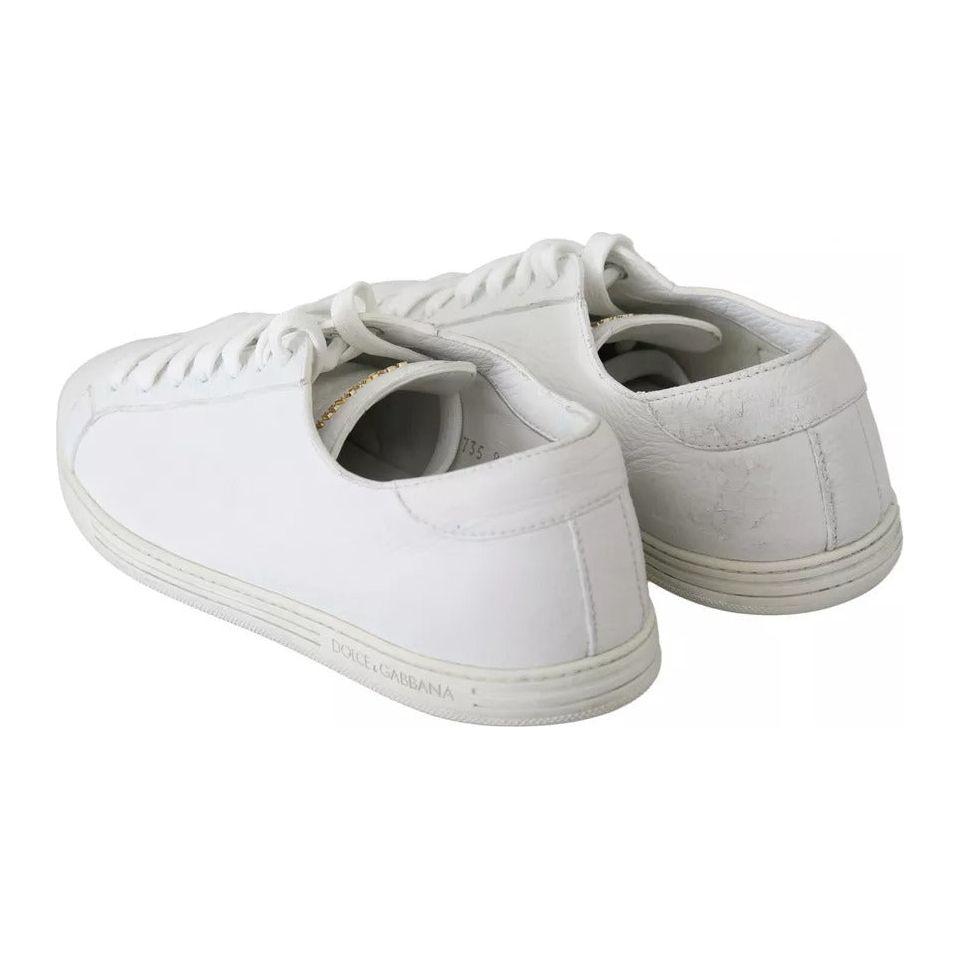 Dolce & Gabbana White Saint Tropez Lace Up Men Sneakers Men Shoes Dolce & Gabbana Light Gray