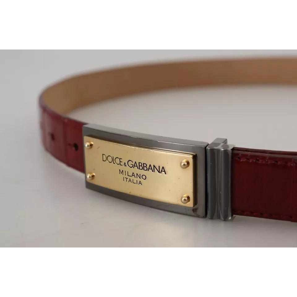 Dolce & Gabbana Brown Leather Gold Engraved Metal Buckle Belt Dolce & Gabbana Dark Gray
