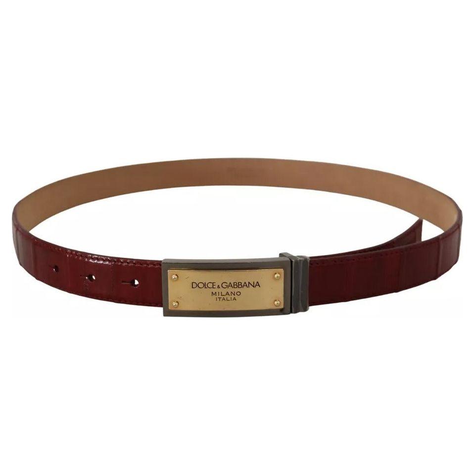 Dolce & Gabbana Brown Leather Gold Engraved Metal Buckle Belt Dolce & Gabbana Dark Olive Green