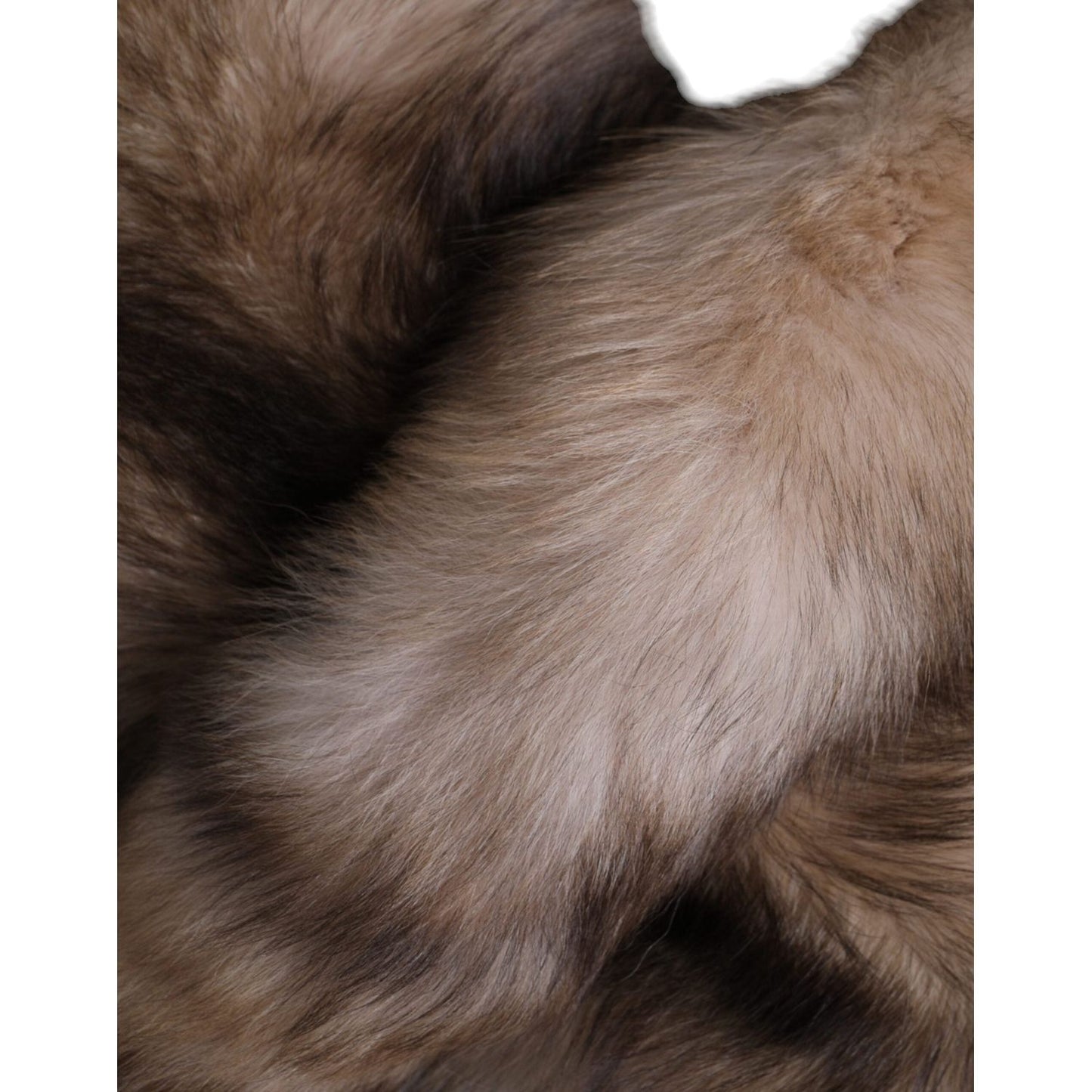 Dolce & Gabbana Brown Frost Fox Fur Neck Warmer Winter Scarf Dolce & Gabbana Dim Gray