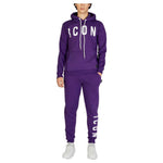 Icon Purple Cotton Hoody IC-15262700151-IT46 | M
