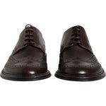 Dolce & Gabbana Brown Leather Derby Wingtip Lace Up Formal Dress Shoes