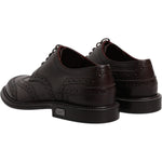 Dolce & Gabbana Brown Leather Derby Wingtip Lace Up Formal Dress Shoes