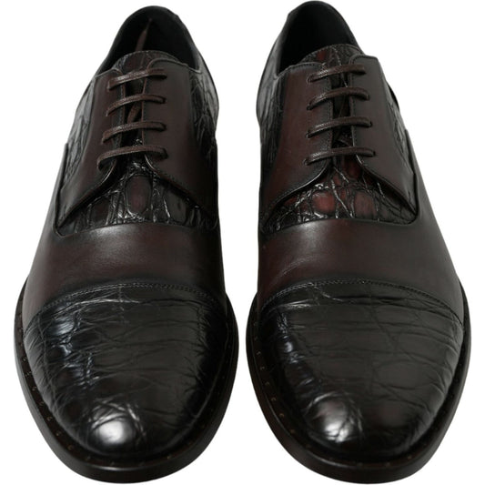 Dolce & Gabbana Elegant Brown Formal Derby Dress Shoes Dolce & Gabbana Dark Slate Gray