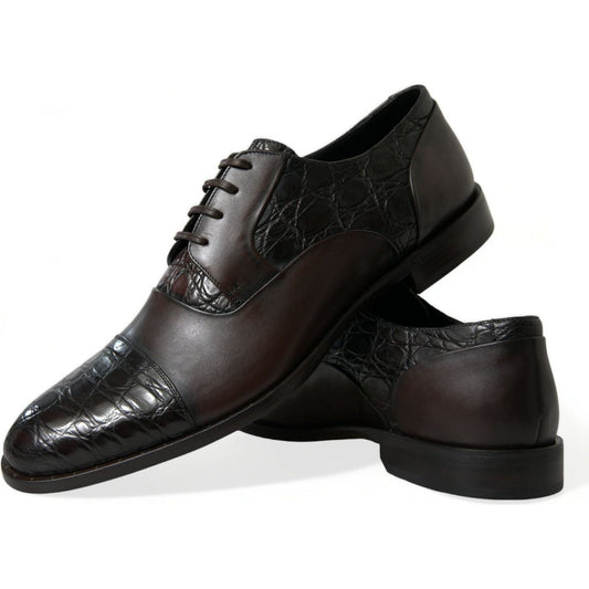 Dolce & Gabbana Elegant Brown Formal Derby Dress Shoes Dolce & Gabbana Black