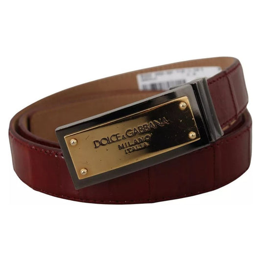 Dolce & Gabbana Brown Leather Gold Engraved Metal Buckle Belt