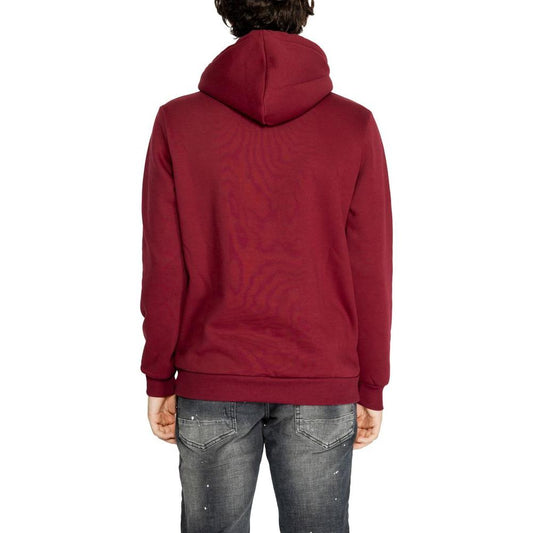 Icon Bordeaux Cotton Sweater Icon Brown