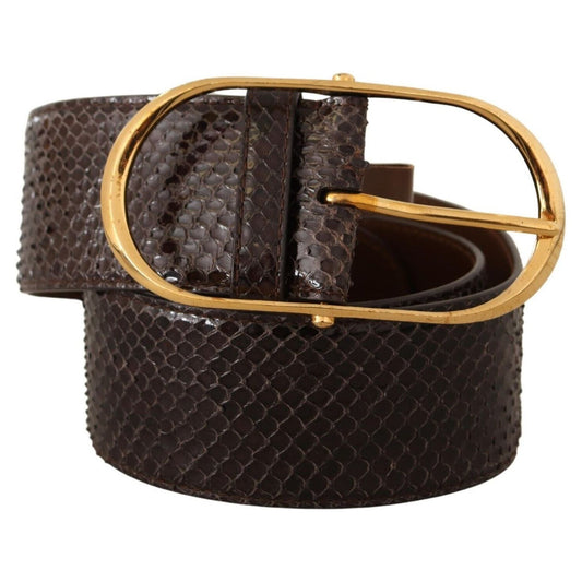 Dolce & Gabbana Dolce & Gabbana Elegant Python Leather Belt with Gold Buckle BEL8357 - 80 1728,67345645728,80 cm / 32 Inches,Belts - Women - Accessories,Brown,Dolce & Gabbana,New with tags,Women