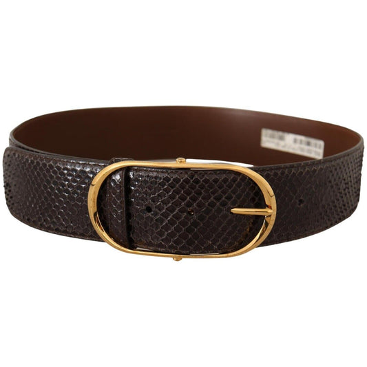 Dolce & Gabbana Dolce & Gabbana Elegant Python Leather Belt with Gold Buckle BEL8357 - 80 1728,67345645728,80 cm / 32 Inches,Belts - Women - Accessories,Brown,Dolce & Gabbana,New with tags,Women