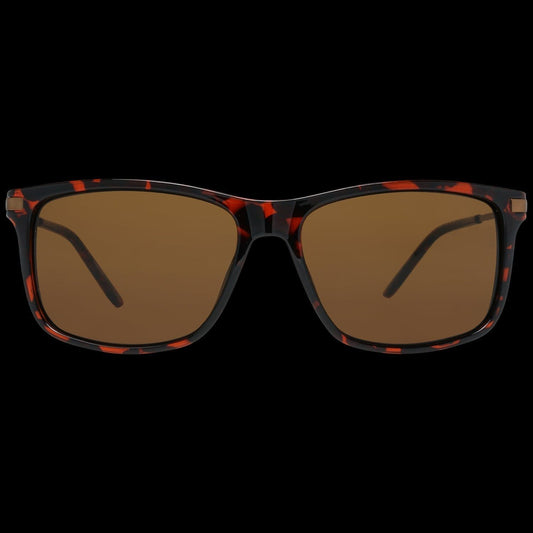 TIMBERLAND SUNGLASSES SUNGLASSES & EYEWEAR TIMBERLAND SUNGLASSES Black